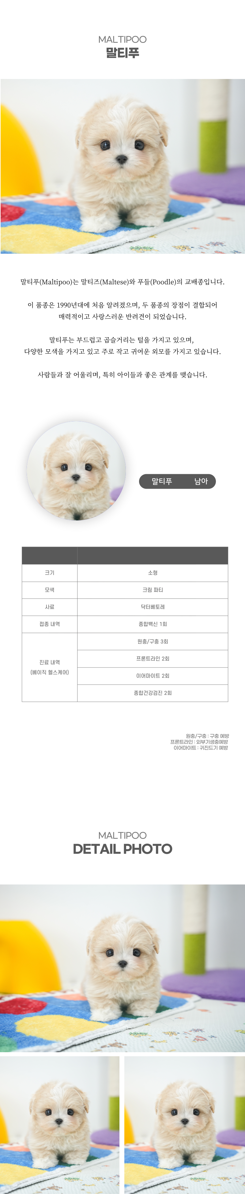 말티푸_상세이미지_2